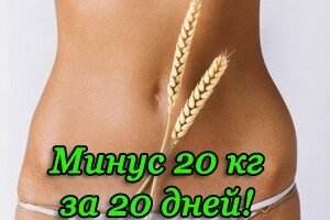 Похудение Похудение